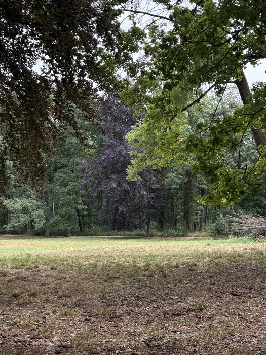 Der Schlossgarten