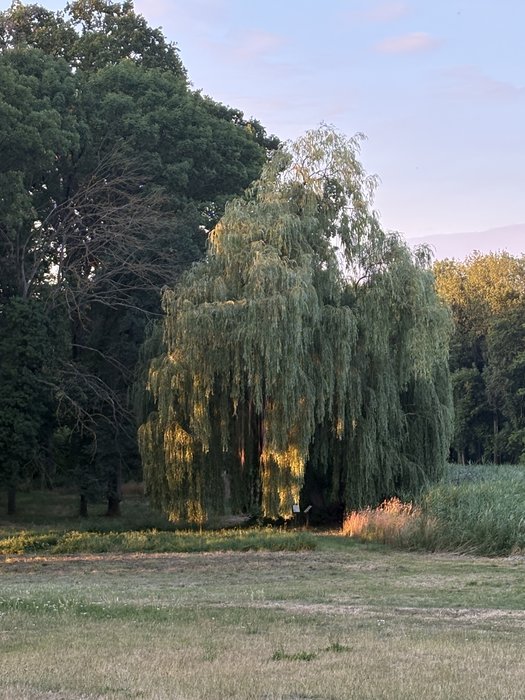 Abendstimmung